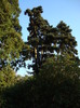 DSC07051