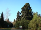 DSC07054