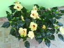 DSC01641