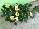 DSC01642