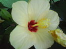 DSC01644