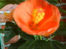 DSC03356