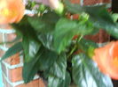 DSC03358