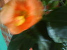 DSC03360