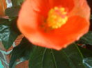 DSC03361