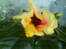 DSC03363