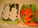 DSC01765