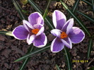 DSCI0083