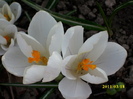 DSCI0084