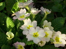 DSCI0104