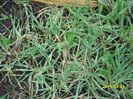 DSCI0140