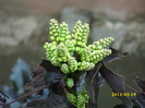 DSCI0143