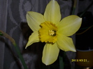 DSCI0147