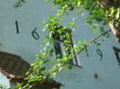 Sighisoara