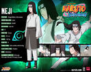 neji informations