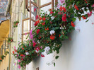 Sighisoara
