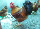 DSCF7119