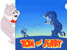 poze-poze-cu-tom-si-jerry-03-72