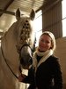 andalusian horses 2
