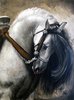 AndalusianSpirit_final_Pjonas_web