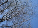 DSC04255