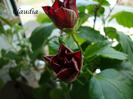 DSC02504