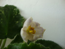 DSC02505