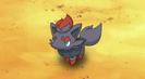 Zorua(2000)