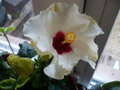 P1060275
