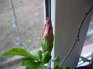 P1060272