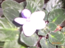 CIMG3228