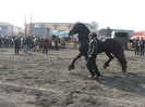 DSCF7195
