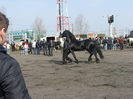 DSCF7196