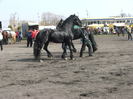 DSCF7202