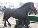 DSCF7227
