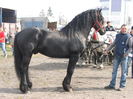 DSCF7231