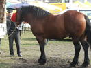 DSCF7249
