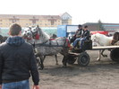 DSCF7267