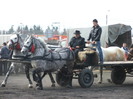 DSCF7282