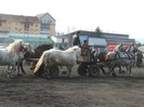 DSCF7283