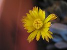 IMG_3845