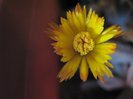 IMG_3846