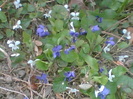 Picture 067
