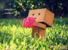 Danbo cutiutsssa