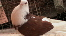 IMGA0928