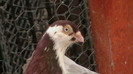 IMGA0949