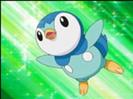 Piplup fa manunchiul de bule