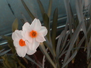 DSC00280