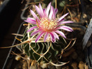 DSCF7063