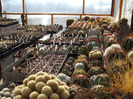 DSCF7067